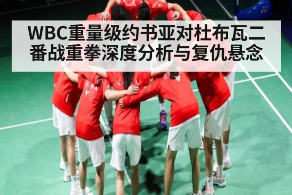 WBC重量级约书亚对杜布瓦二番战重拳深度分析与复仇悬念